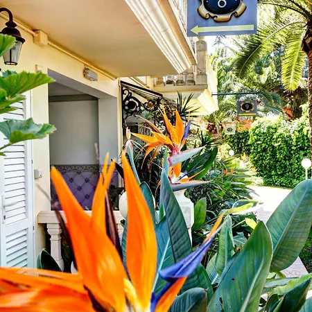 Rosa Hotel Dénia