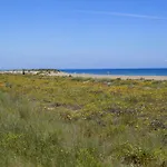 Rosa Otel 3*